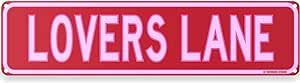 Lovers Lane Street Sign 16" x 4" Valentines V Day Lovers Theme Cute Love Message Home Decor Wall Decoration (Lovers Lane)