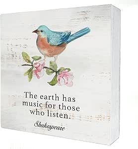 the Earth Has Music Wood Box Sign Home Decor Rustic Bird Spring Wooden Box Sign Block Plaque for Wall Tabletop Desk Home Decoration Bird Lover Gift