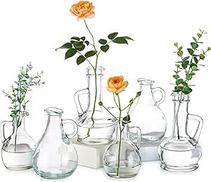 Glasseam Bud Vases for Flowers, Cute Clear Glass Vases for Centerpieces, Unique Flower Vase Set of 6, Vintage Decorative Small Vase for Wedding Dining Table Decorations Living Room Home Decor