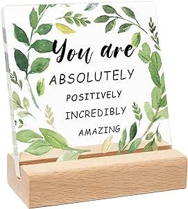 Inspirational Office Sign,Encouragement Decor for Desk Cubicle Home Office,Funny Quote Gift for Women Friends Classmates Family Coworkers,You are Absolutely Positively Incredibly Amazing Sign