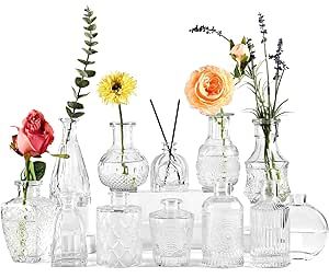 BIGIVACA Small Glass Bud Vases Set of 12,Mini Clear Bud Vases in Bulk,Small Flower Vases for Centerpieces,Vintage Embossed Style Glass Bottles for Rustic Wedding,Home,Table Decor