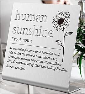 Human Sunshine Definition Desk Signs Funny Appreciation Gifts for Women Thank You Gift for Friends Teacher Coworker Doctor Nurse Gift for Mom Aunt Sister Sunshine Party Decorations (silver) XLK12