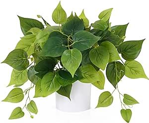 Waipfaru Faux Plants Indoor with Plastic Pots, Realistic Small Fake Plants, Fake Plants with Pothos, Fake Potted Plants, Artificial Plant for Home Shelf Bathroom Kitchen Office Indoor Outdoor Decor