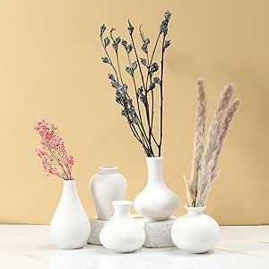 White Ceramic Vase Set- 5 Small Vases in Bulk, ViViTOP Mini Flower Vases for Boho Home Decor, Modern Pampas Grass Decor for Kitchen Living Room, Unique Cute Mini White Vase for Centerpiece Decoration